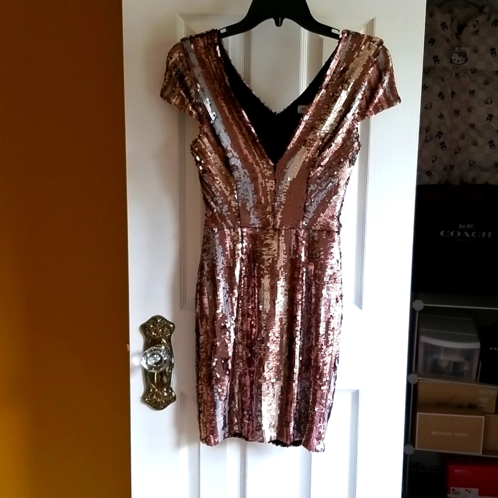 Dress the Population "Zoe" sequined party holiday dress, mini, bodycon.